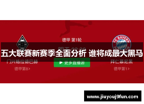 五大联赛新赛季全面分析 谁将成最大黑马